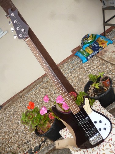 Thunderbacker jazz bass - thunderbacker,